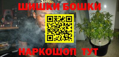 индика Новокубанск