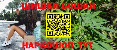 гидропоника Новозыбков