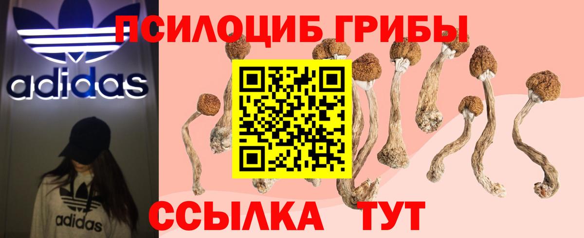 Галлюциногенные грибы Psilocybine cubensis  Галлюциногенные грибы ЛСД  Вход с VPN  Серпухов 